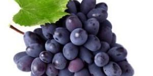 Black Seedless Grapes