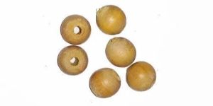 Round Wood Bead