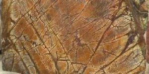 Rainforest Brown Marble Stone