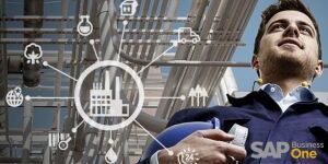 Sap Implementation Service