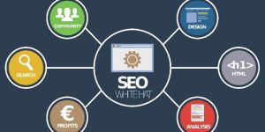 Complete SEO Solutions