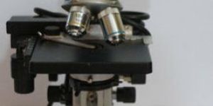 Binocular Research Microscope