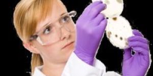 Microbial Screening Service