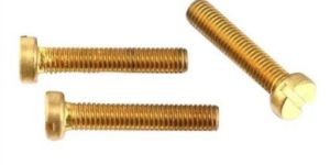 Brass Slotted Cheese Head Screw
