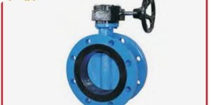 Concentric Butterfy Valve