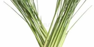 Organic Lemon Grass