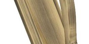 BRASS PLATE HANDLE - NEPOLIAN