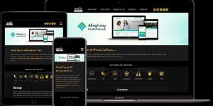 Website Development Services