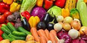 Fresh Vegetables