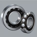 Ball Screw Bearings