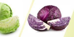 Cabbage