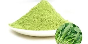 Dehydrated Spinach Powder