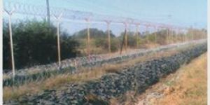 Concertina Coils Fencing