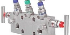 Manifold Valves