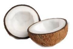 Coconut