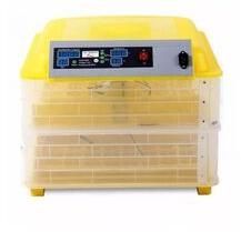 Hatching Eggs Machine