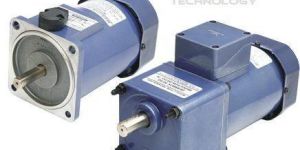 TEFC Induction Motor