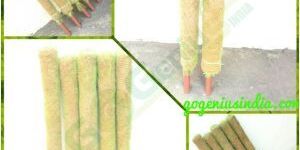 Coir Pole