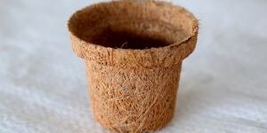 Coir Seedling Cup