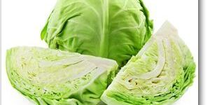 Cabbage