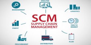 Supply Chain Management Courses