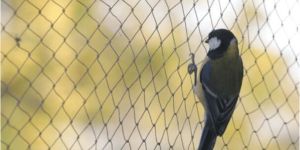 Anti Bird Net