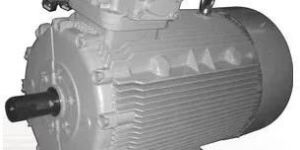 Flame Proof Motor