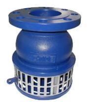 Foot Valve