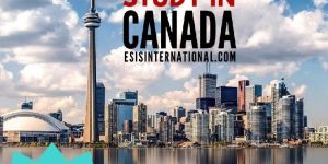 Transcription Services