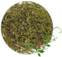 Dill Seeds