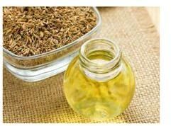 Fennel Seed Oil