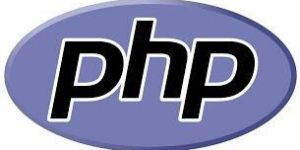 Web Development Services