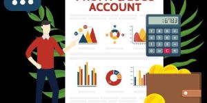 Profit And Loss Account