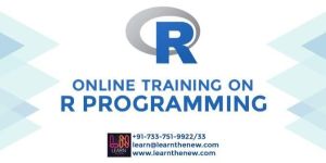R Programming Online Training Services