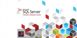 SQL Server Online Training Services
