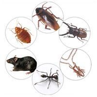 General Disinfestation Treatment Services