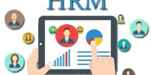 Human Resource Management Software Solutions