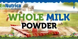 Whole Milk Powder
