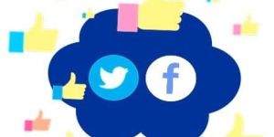 Social Media Management Services