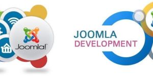 Joomla Training Services