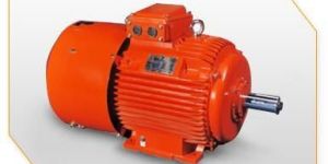 Vertical Hollow Shaft Motor