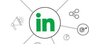 LinkedIn Marketing Services
