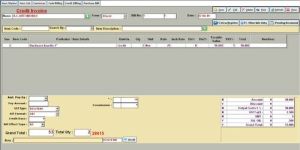 VAT Billing Software