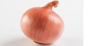 Fresh Pink Onion