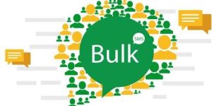 Bulk Sms Provider