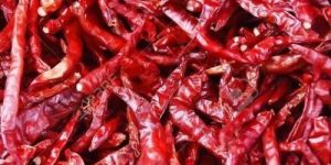 Organic Red Chilli