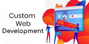 Custom Web Development Services