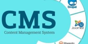 CMS Web Development