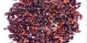 Natural Amla Seed