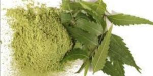 Neem Leaves